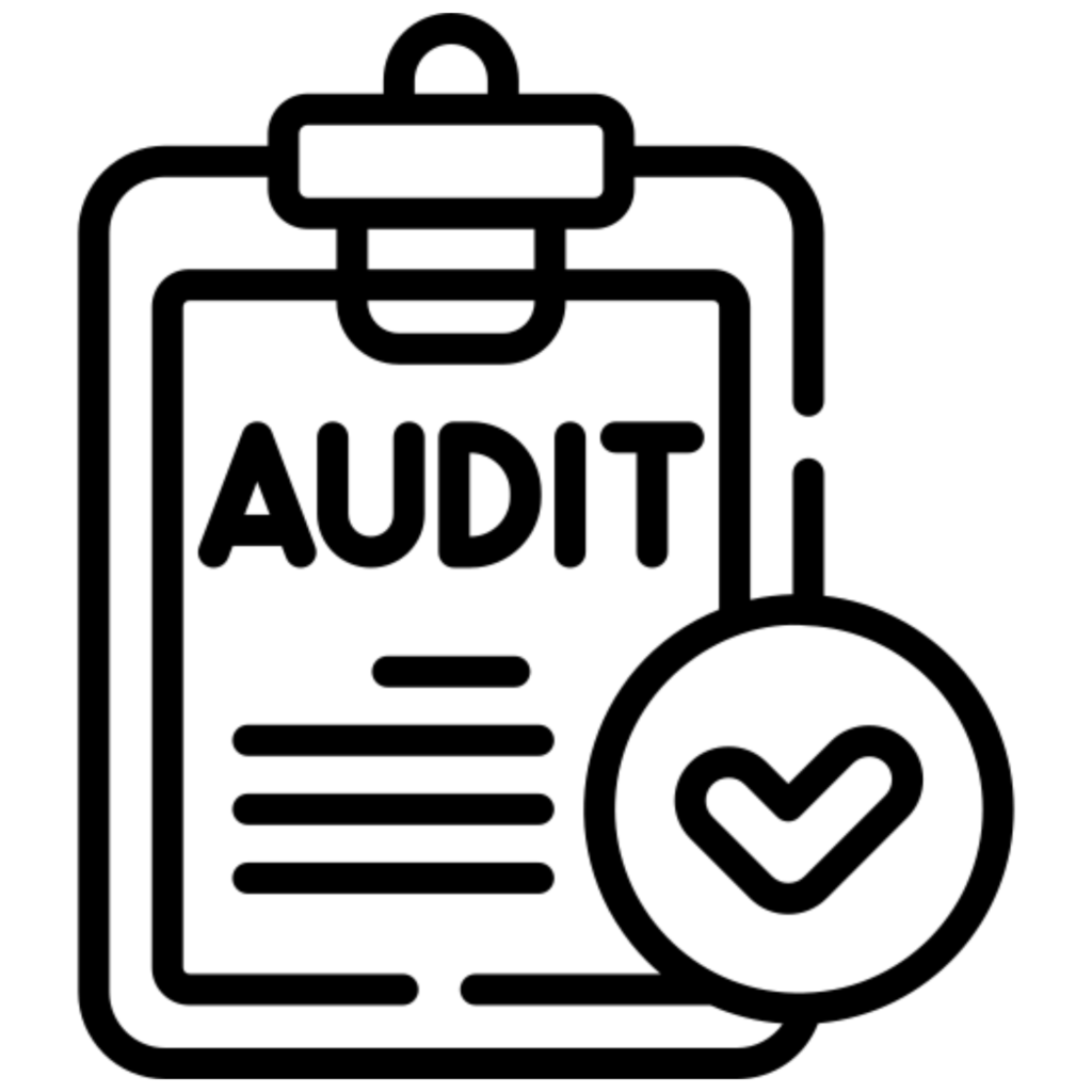 Audit and Analysis