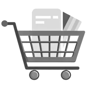 e Comerce Services